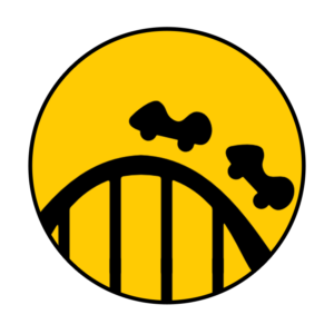 Falcon's Flight Analysis, Six Flags Qiddiya | World's Tallest, Fastest