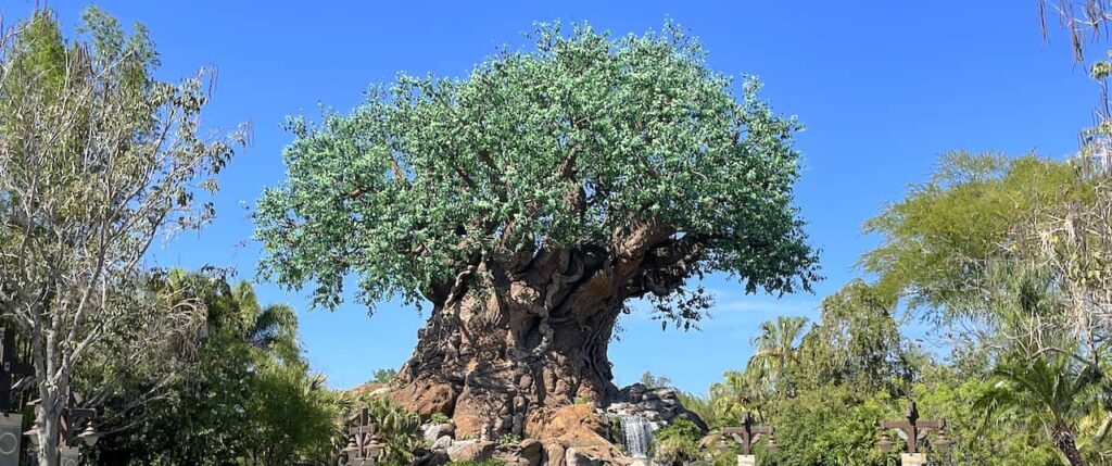 Walt Disney World Celebrates 25 Years of Animal Kingdom