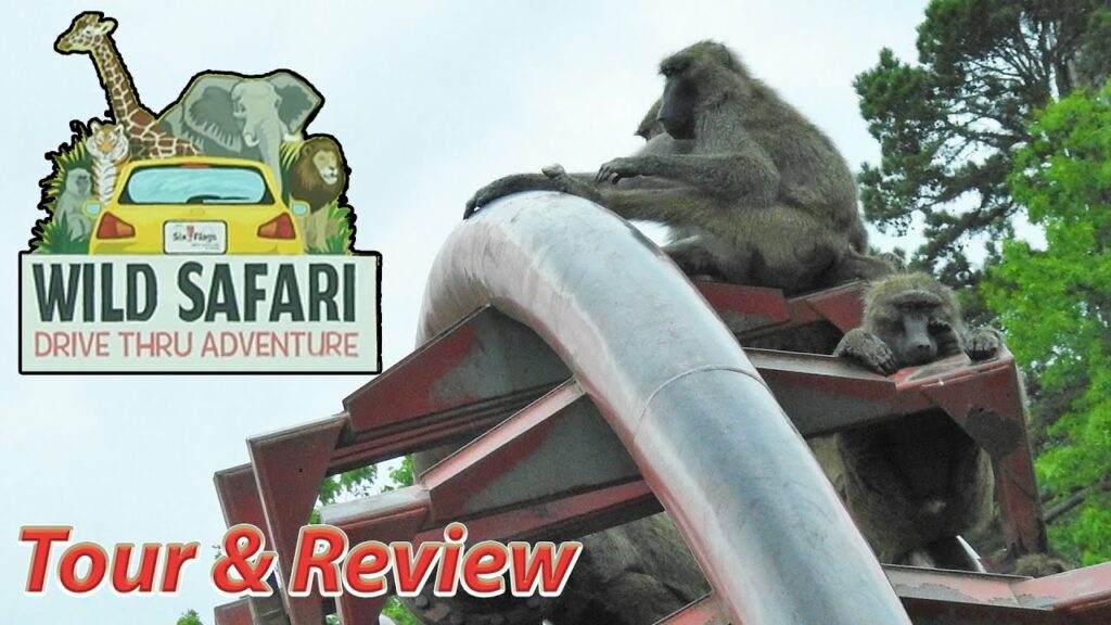 Six Flags Great Adventure Safari Drive Thru | Tour & Review | May 2020 | Check out a tour & review as the Six Flags Wild Safari is temporary transformed back to a drive it yourself experience! Six Flags Great Adventure Safari Drive Thru | Tour & Review | May 2020 | Check out a tour & review as the Six Flags Wild Safari is temporary transformed back to a drive it yourself experience!