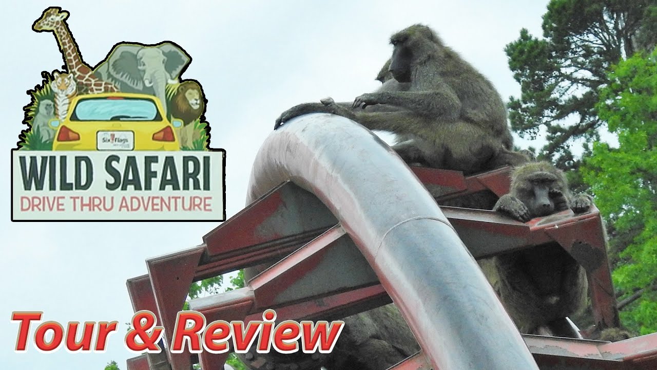 six flags safari ending