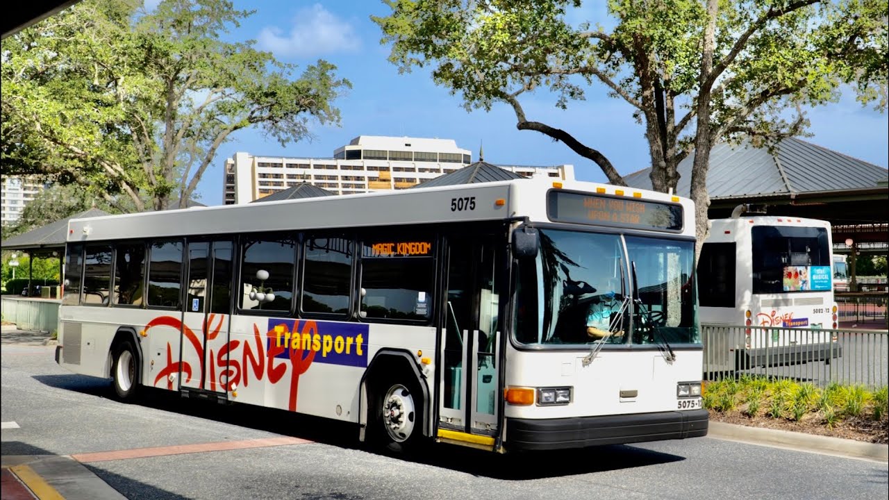 Disney World Bus Ride To Magic Kingdom From Disney's Animal Kingdom In ...