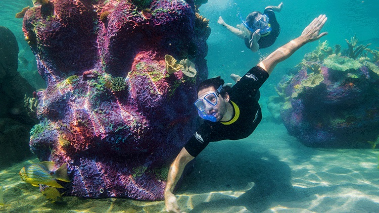 Is THIS All-Inclusive Day Resort One of Orlando's Most Underrated Attractions?