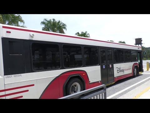 Disney World Bus Ride to Disney Springs from Disney's Beach Club Resort | Walt Disney World 2020 | Thanks for watching! Like the video by giving it a Thumbs Up and Subscribe for more 4K WDW Videos! #waltdisneyworld #disneyworld #disneyworldreopens