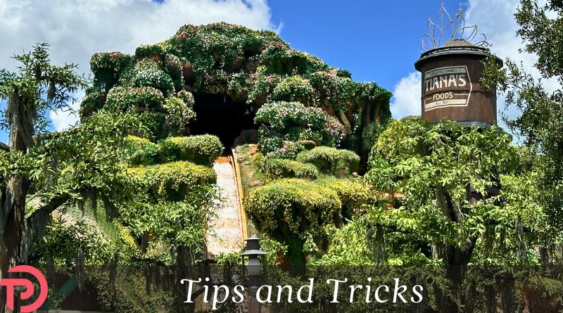 Tiana's Bayou Adventure Ride-Chicken review cover image showing the iconic steep drop on the front of the ride