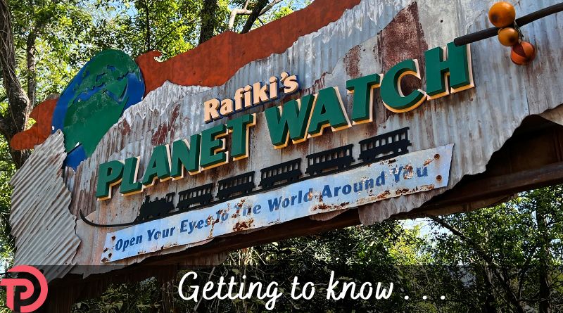Five Things to Know About Rafiki’s Planet Watch