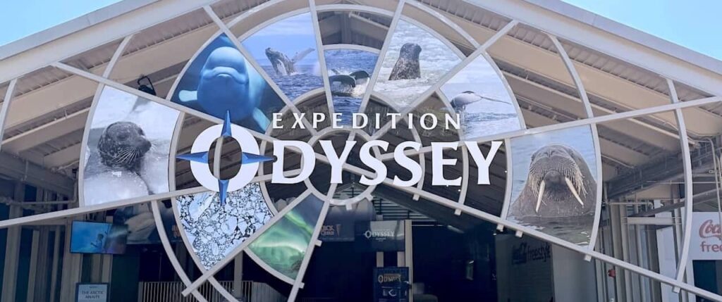 The stars are waiting after the show on Expedition Odyssey