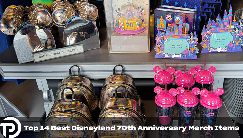 Top 14 Best Disneyland 70th Anniversary Merch Items