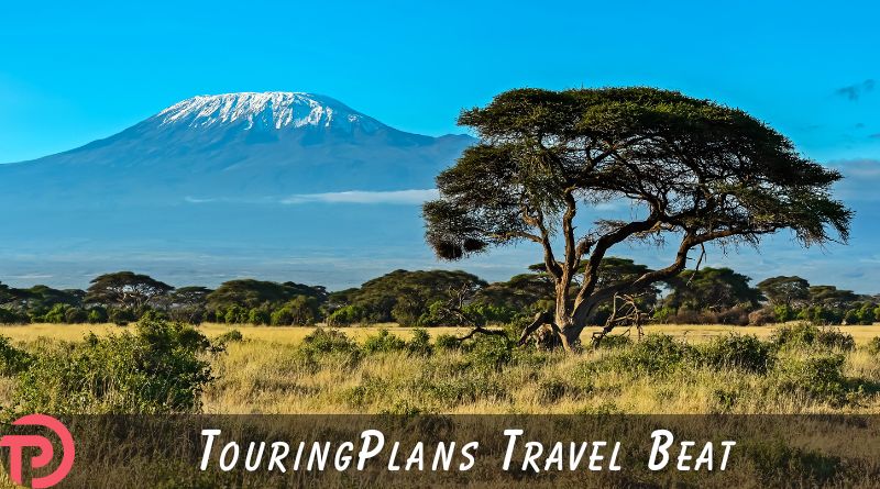 TouringPlans Travel Beat 8-3-2025 | TouringPlans.com Blog