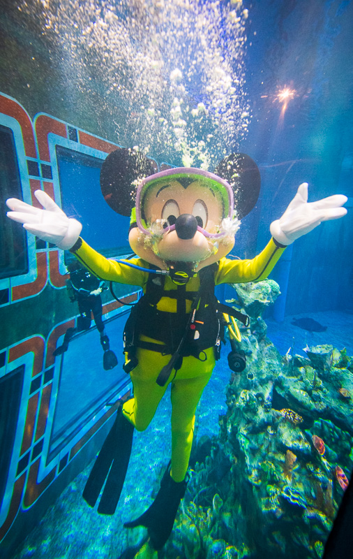 Disney Springs' 11: Florida Scuba Man Escapes After $20,000 Heist