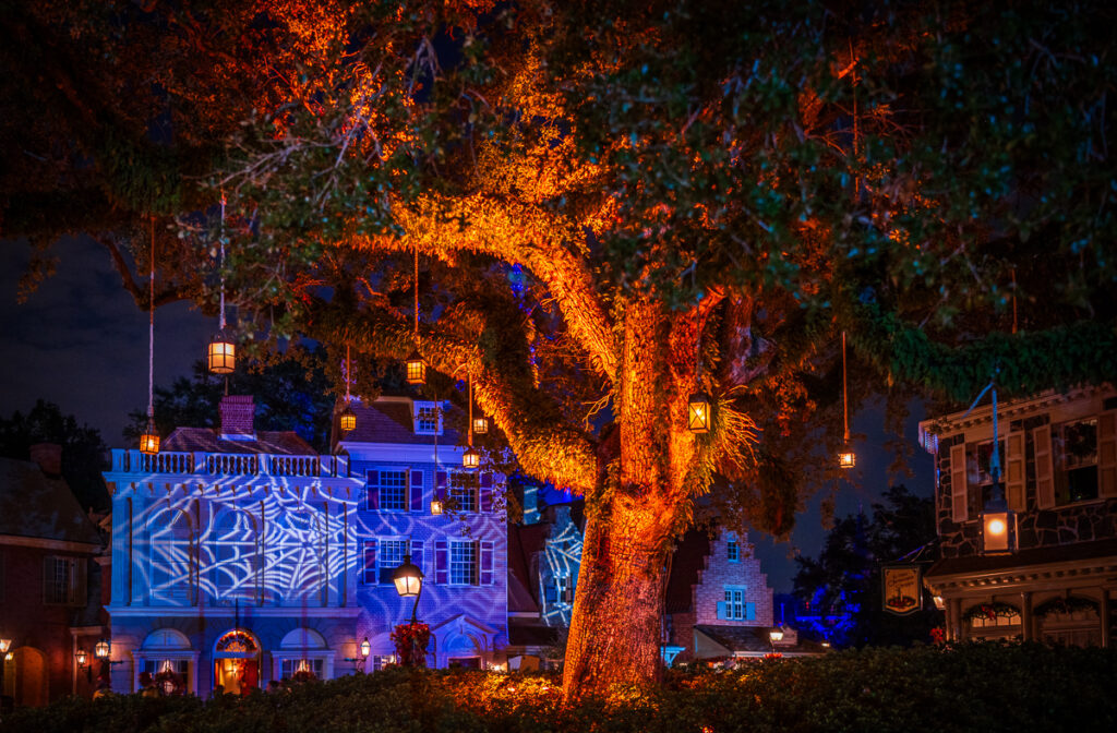 Review: Best Magic Kingdom Meal for Halloween!
