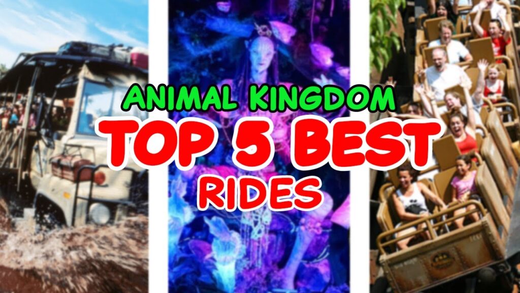 Top 5 rides at Disney's Animal Kingdom - Disneyworld -