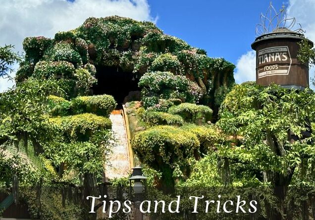 Tiana&#039;s Bayou Adventure Ride-Chicken review cover image showing the iconic steep drop on the front of the ride