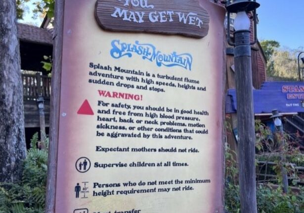 An Ode To Splash Mountain