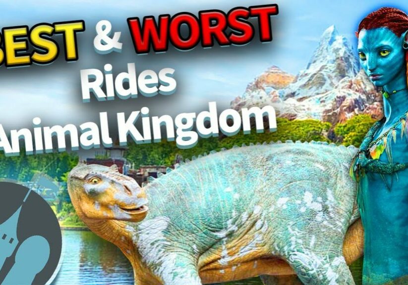 BEST & WORST Rides in Disney's Animal Kingdom