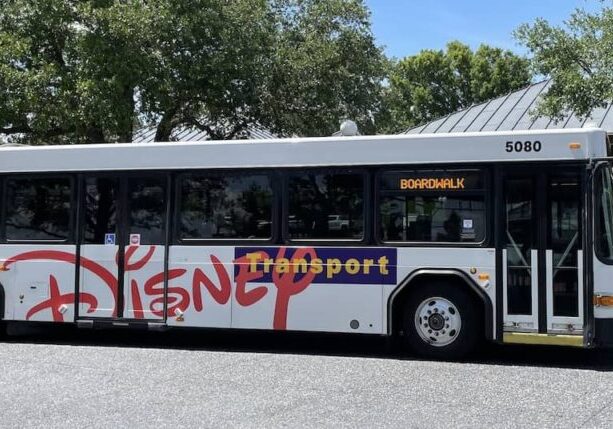 Back on the road to fun, or under it?