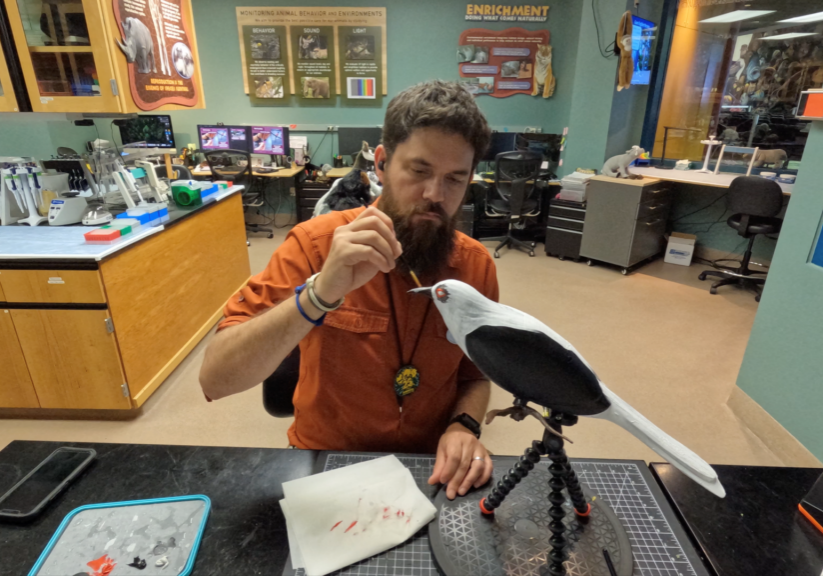 Birds of a Faux Feather: Conservation at Disney Lookout Cay