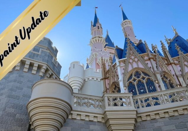 Cinderella Castle Repaint Project: New Photos!