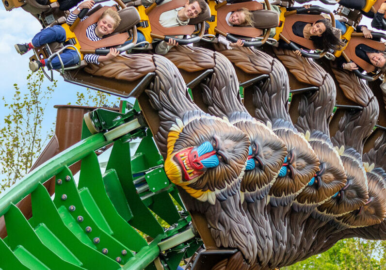 Constructing Mandrill Mayhem ride at world’s first Jumanji-themed park