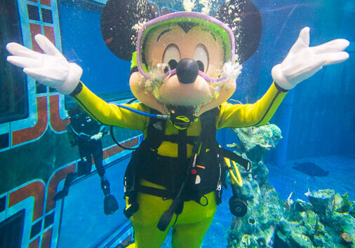 Disney Springs' 11: Florida Scuba Man Escapes After $20,000 Heist