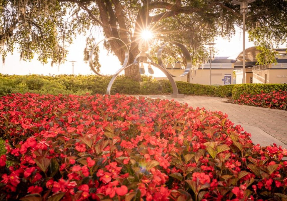 Disney World Extends Contemporary Resort Refurbishment & Construction to 2026