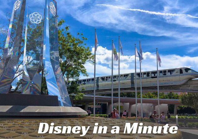 Disney in a Minute: What is a Bounceback Offer?