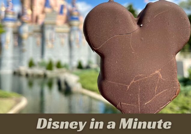 Disney in a Minute: What is a Mickey Bar?