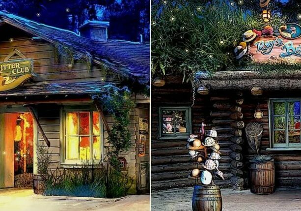 Disneyland announces temporary closure of one of its lands
