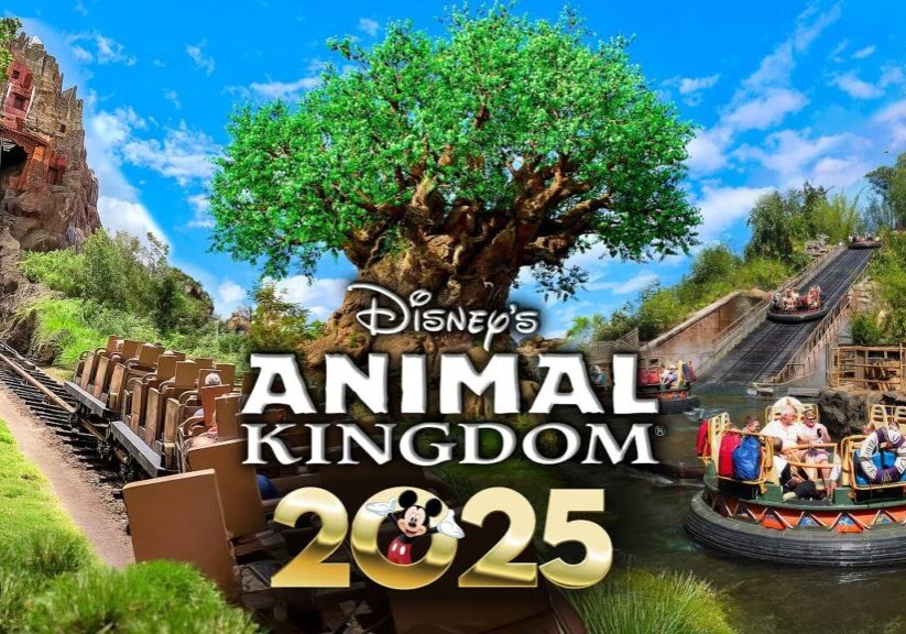 Disney's Animal Kingdom RIDES & ATTRACTIONS 2025 | Walt Disney
