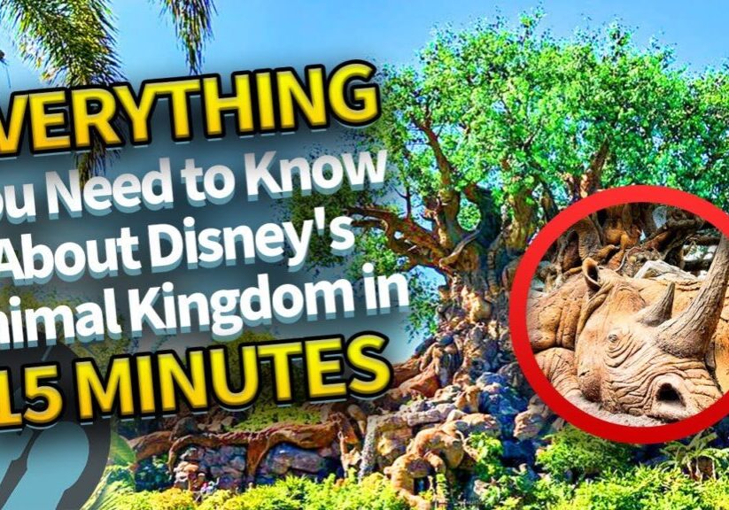 Everything You Need to Know About Disney's Animal Kingdom in