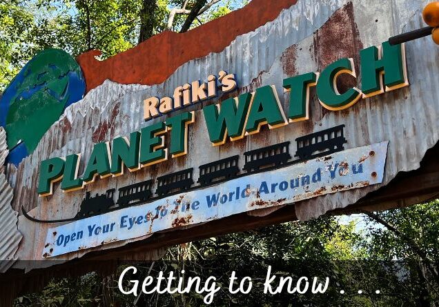 Five Things to Know About Rafiki’s Planet Watch
