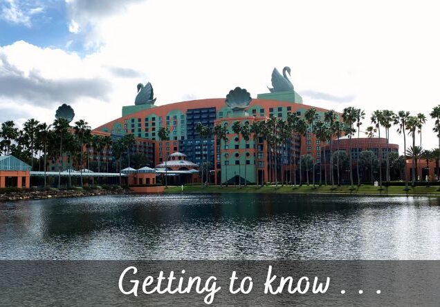 Frequently Asked Questions About the Disney World Swan and Dolphin