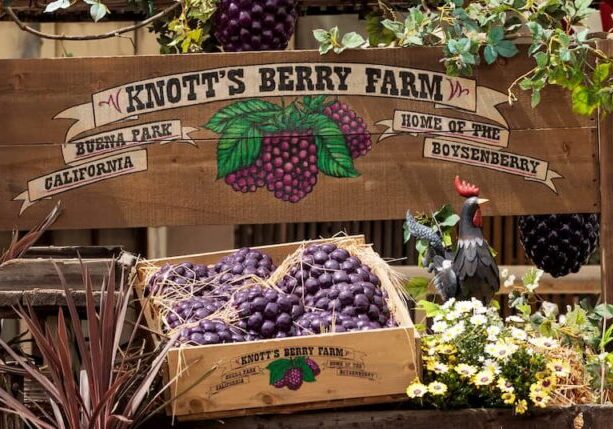 It's springtime for theme parks