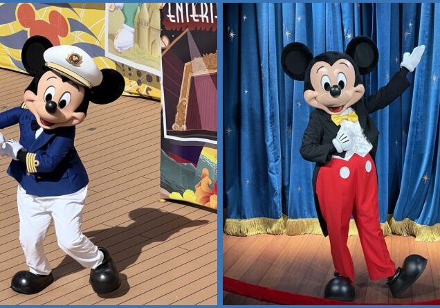 New! Disney Cruise Line / Disney Resort Offer!