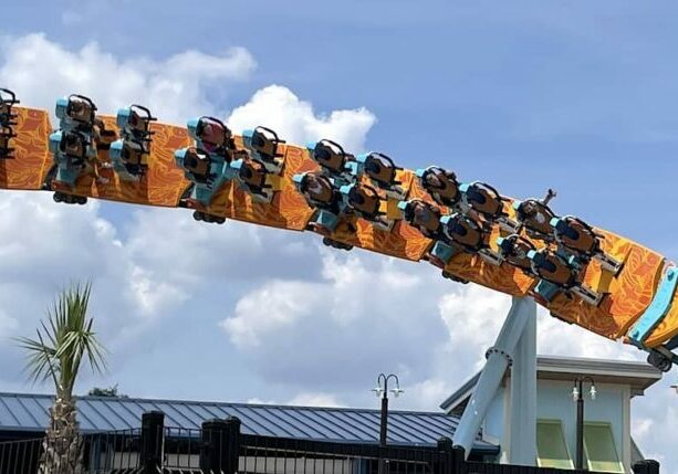 New coasters fail to push attendance at SeaWorld parks