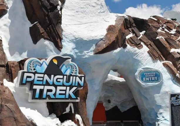 Penguin Trek opens at SeaWorld Orlando