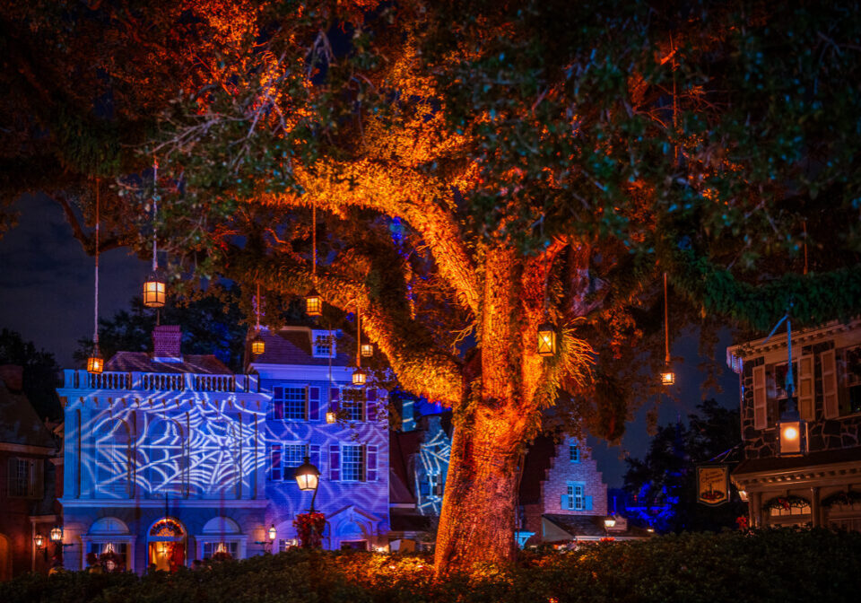 Review: Best Magic Kingdom Meal for Halloween!