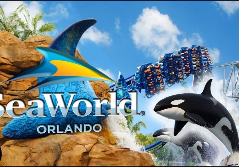Seaworld Orlando RIDES & ATTRACTIONS