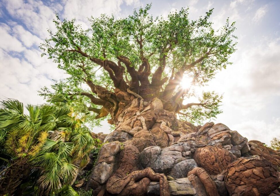 Should You Skip Disney's Animal Kingdom?