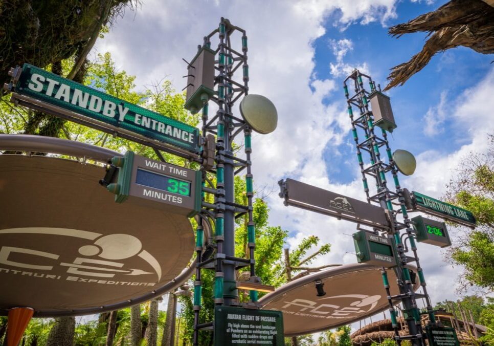 Should You Visit Disney World in Summer 2026? Here's the Verdict on if Lower Crowds & Prices Are "Worth It."