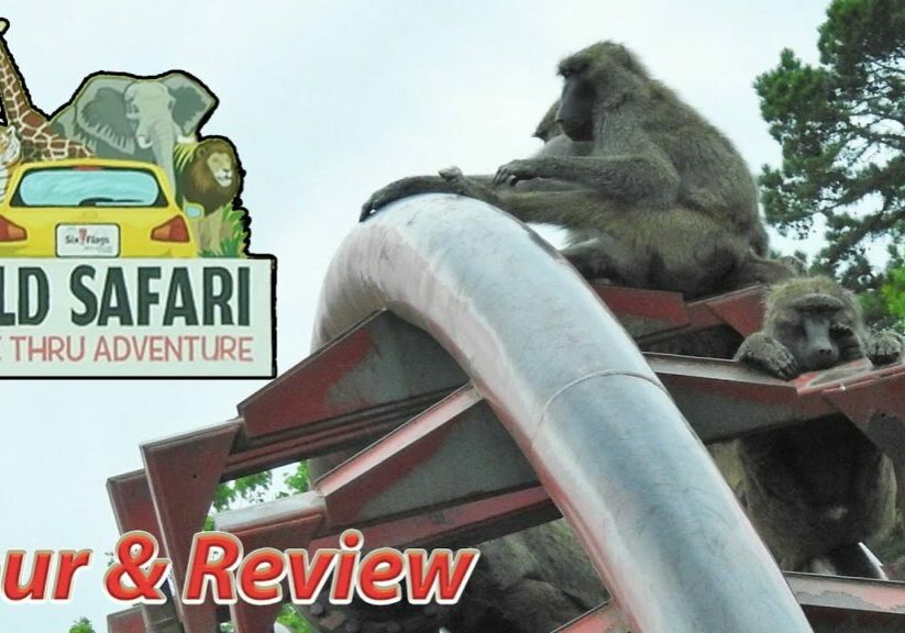 Six Flags Great Adventure Safari Drive Thru | Tour &