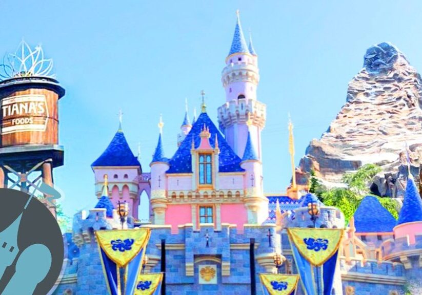 TOP 10 Rides in Disneyland in 2025