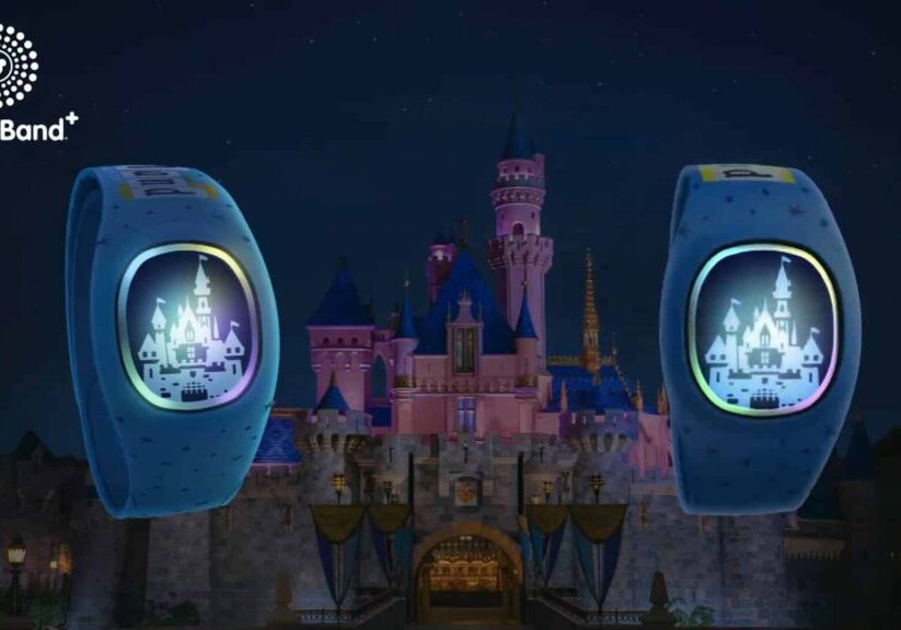 The Writing is On the Wall for MagicBands at Disney.