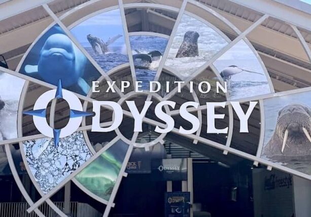 The stars are waiting after the show on Expedition Odyssey