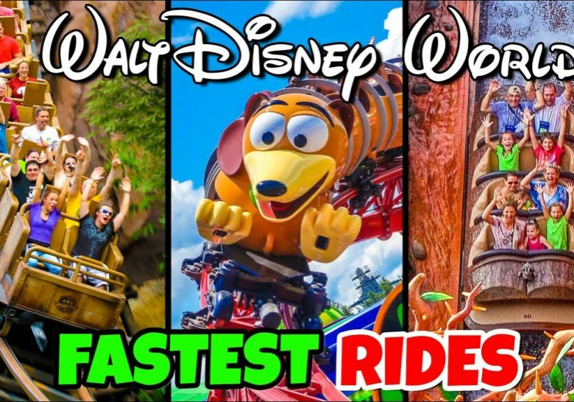 Top 10 Fastest Rides at Walt Disney World