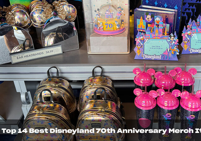 Top 14 Best Disneyland 70th Anniversary Merch Items