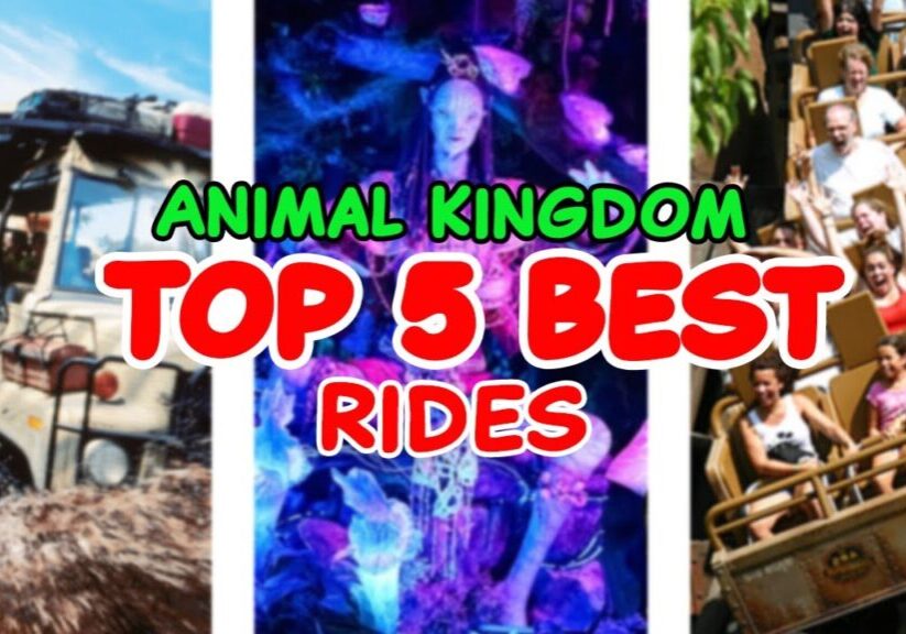 Top 5 rides at Disney's Animal Kingdom - Disneyworld -