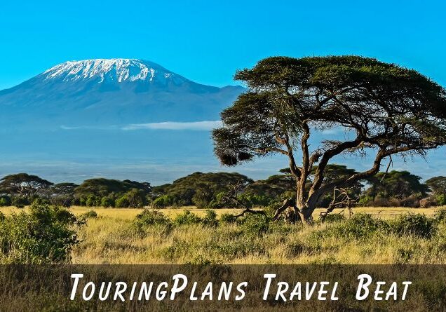 TouringPlans Travel Beat 8-3-2025 | TouringPlans.com Blog