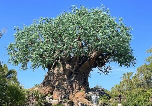 Walt Disney World Celebrates 25 Years of Animal Kingdom